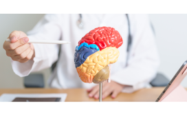 Parkinson ziekte.png