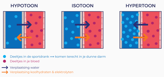 Hypo-, iso- en hypertoon 2