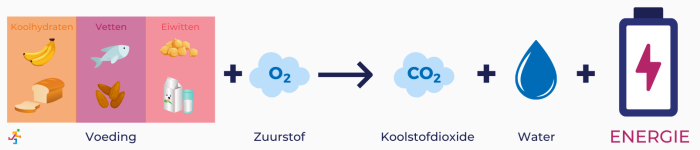 Voedingsstoffen als energiebron